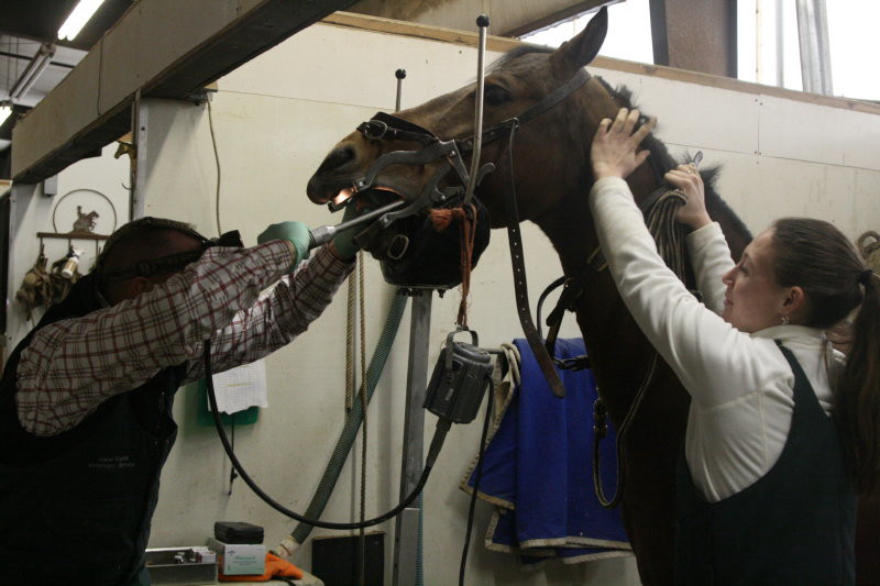 dental exam